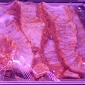 Costilla